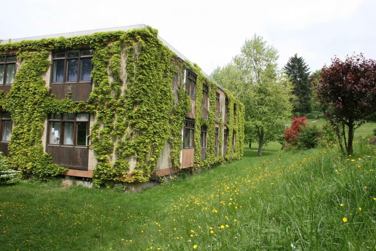Blumenmeer Appartment Ober-Hambach Buitenkant foto
